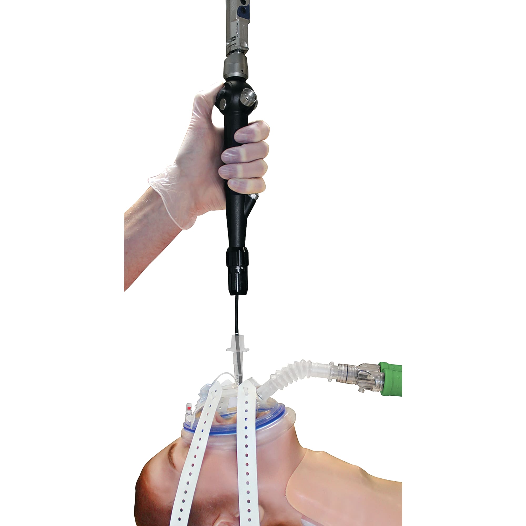 Gastrointestinaldigestivesystemendoscopymask