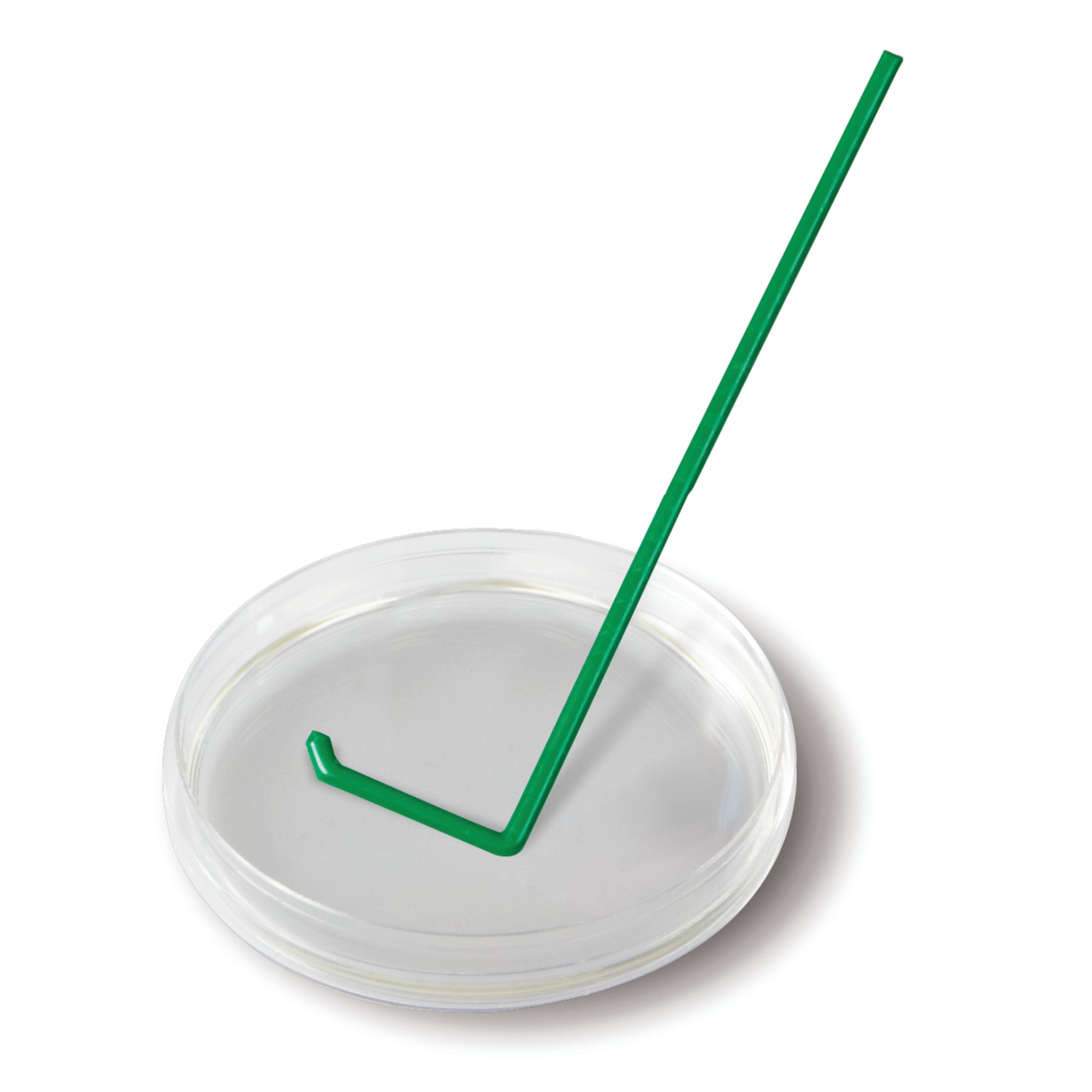 SPREAD RD サイズ150 Sterile L-Shape Cell Spreader - Marketlab