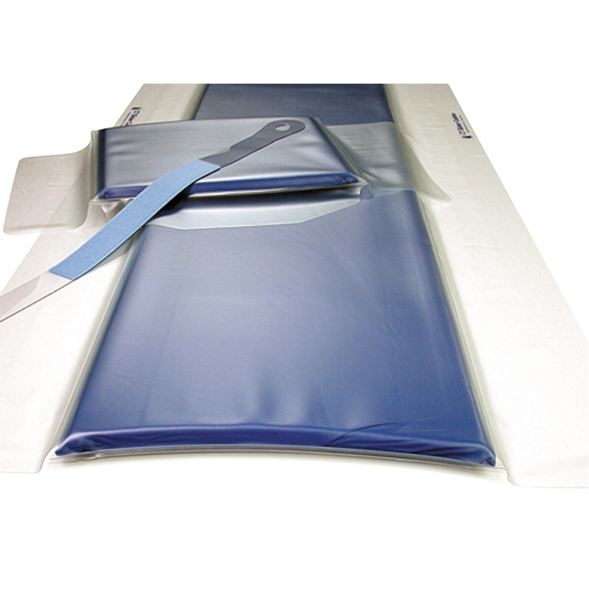 アリゲーター 249213