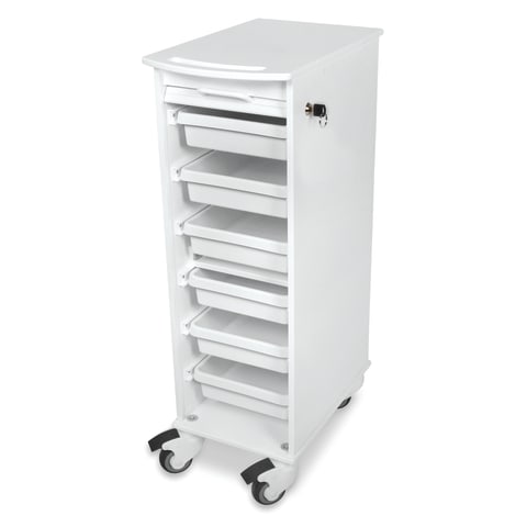 Lockable Storage Carts