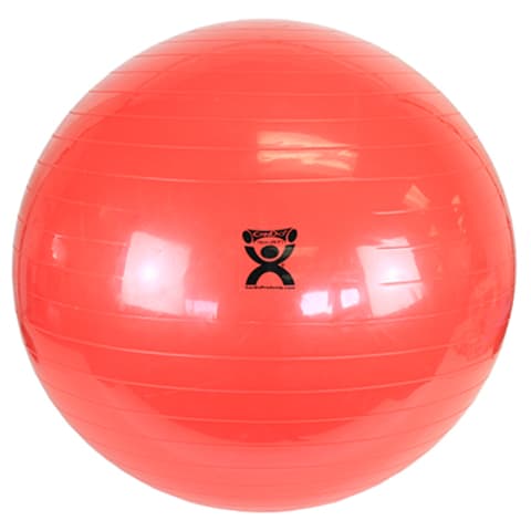 Inflatable Exercise Ball Hopkins Medical Products