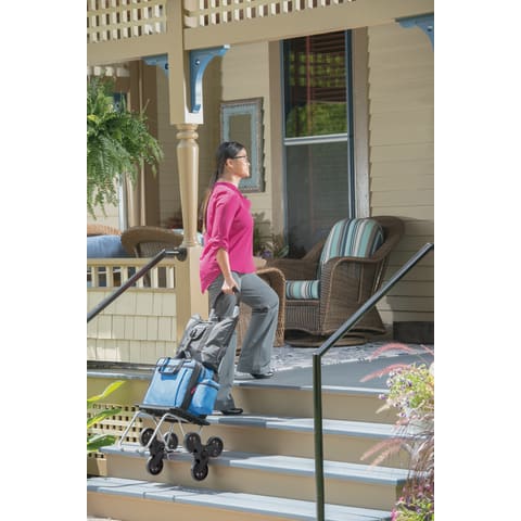 Stair climbing bag sale