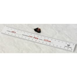 Bio-Ruler • Paper • 20 Pads - Marketlab