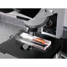 Marketlab Tube Vue - Marketlab